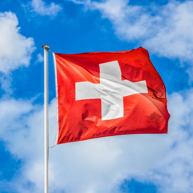 Les différents types de sociétés en Suisse et leurs spécificités